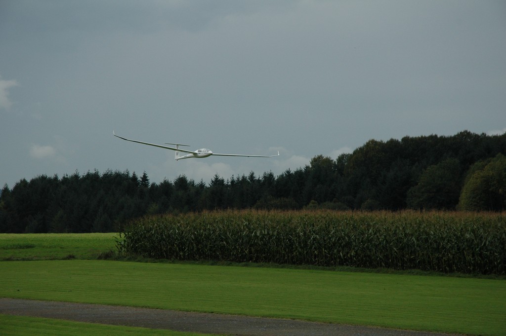 DSC_8739 