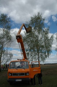 Image100012    