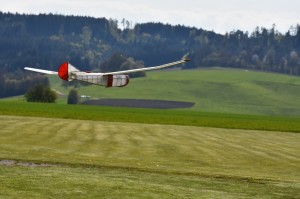 20160429-DSC 4246    