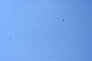 2017-04-30 15-13-30 - DSC 9855